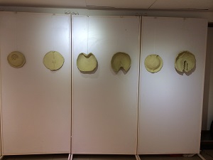 Contemporary  art practice